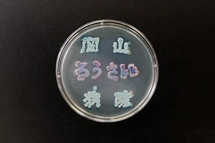 細菌検査1