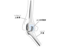上肢3